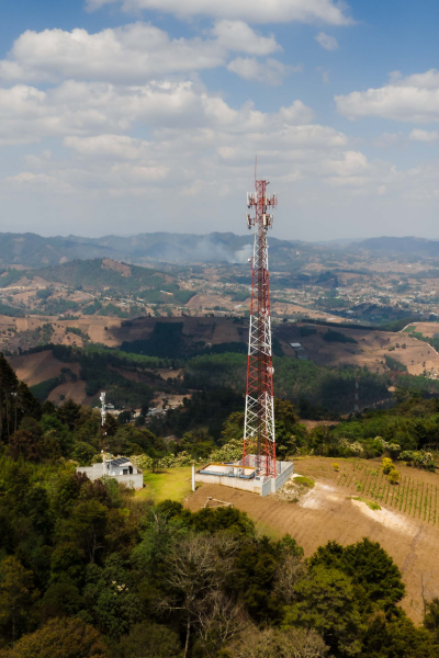 Image Downloads - Vertical